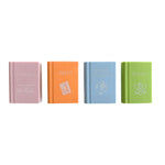 Daydream Society Smarty Pants Book Erasers - 4 color options