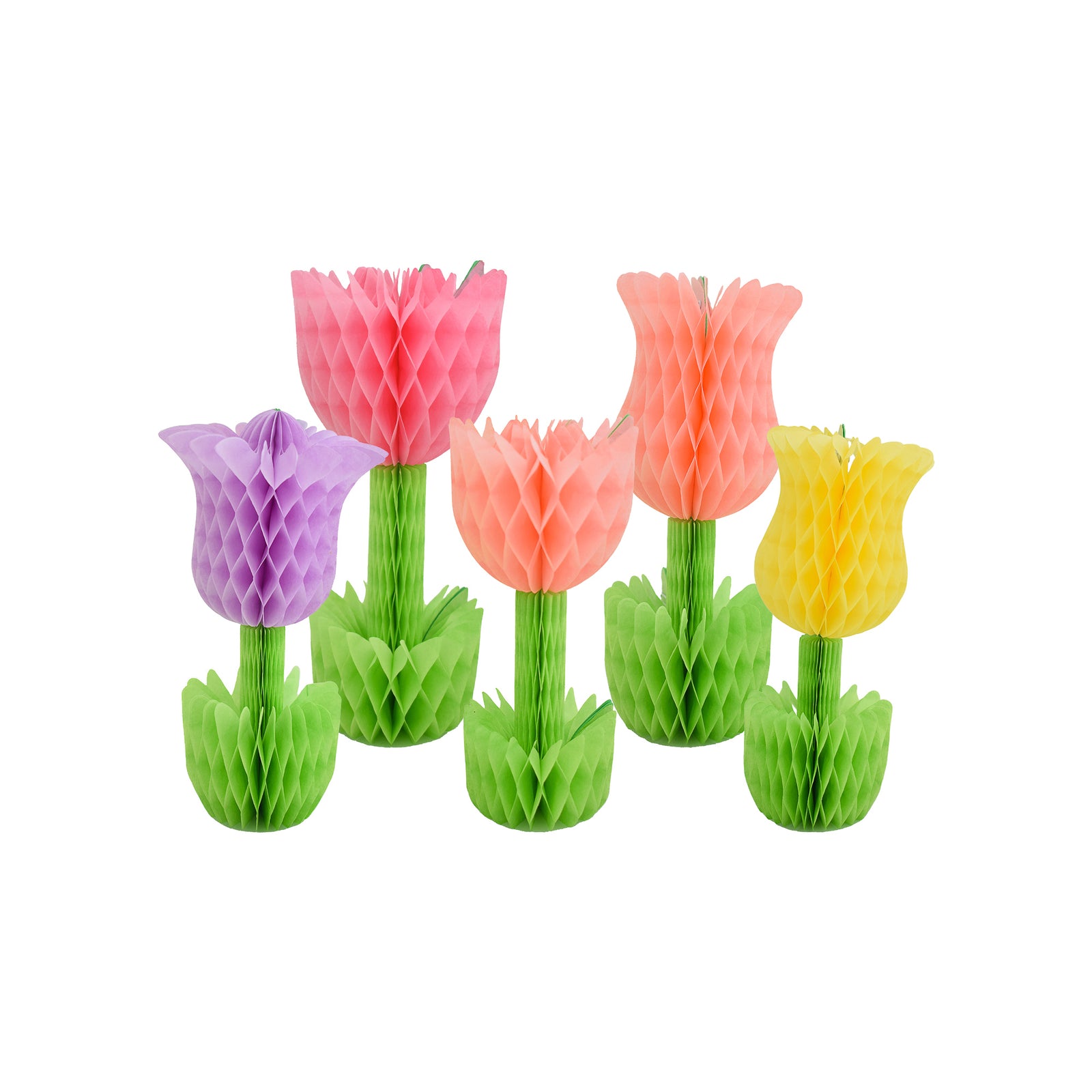 Tulip Honeycomb Set, Daydream Society