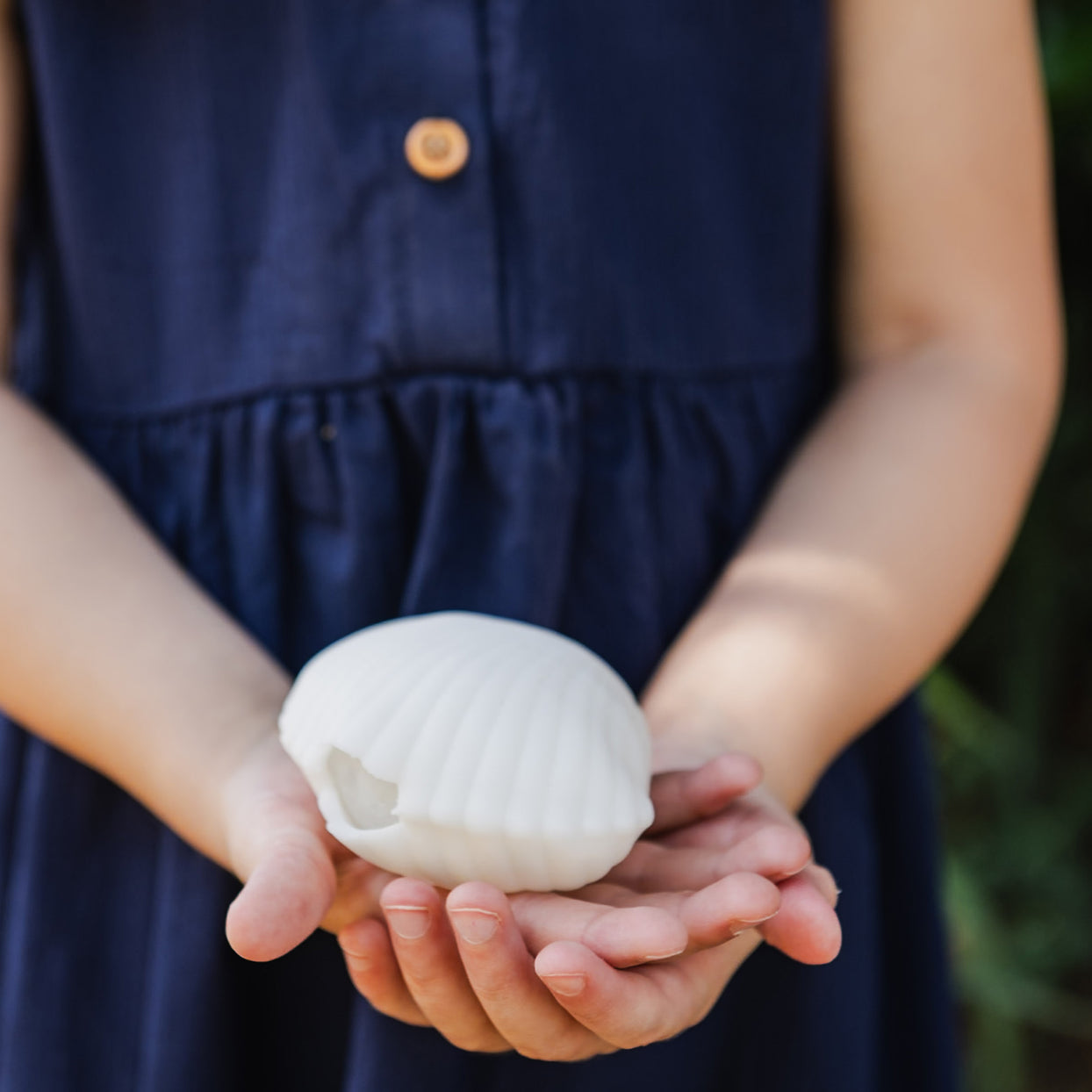 Seaside Clamshell Squeeze Squishy