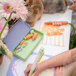 Bunnies In The Garden Pencil Case, Daydream Society