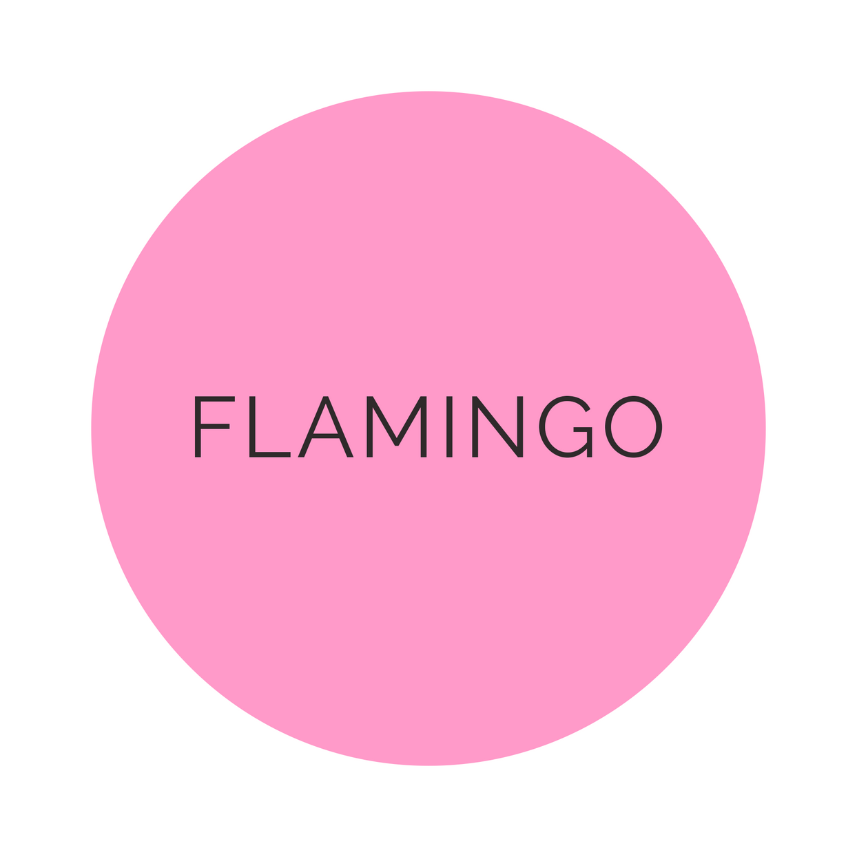 Shades Flamingo Dinner Plates
