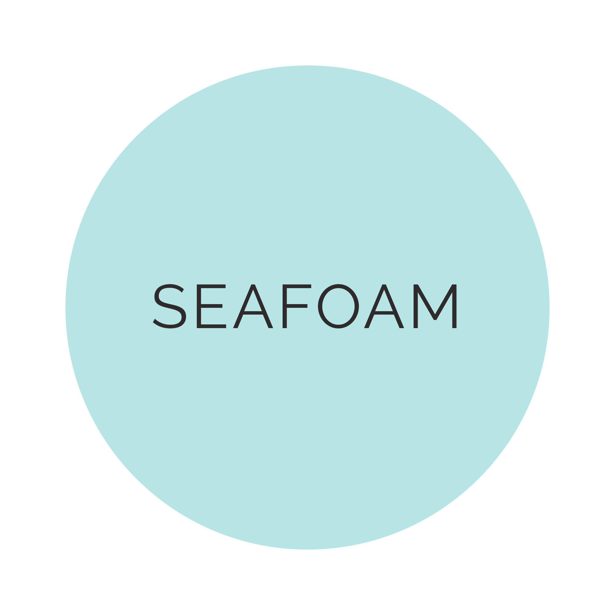 Shade Collection Seafoam Dinner Plates