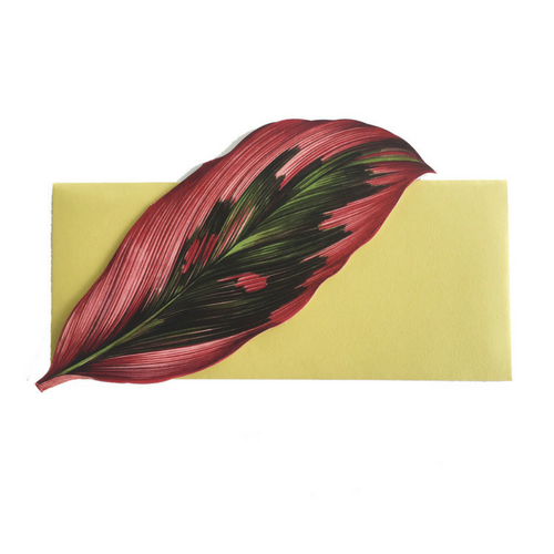 Pink Cordyline Leaf Card