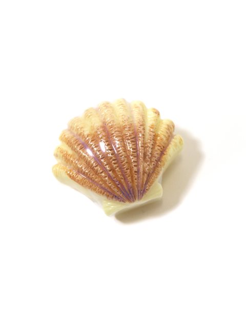 Seashell Lip Gloss – Jollity & Co