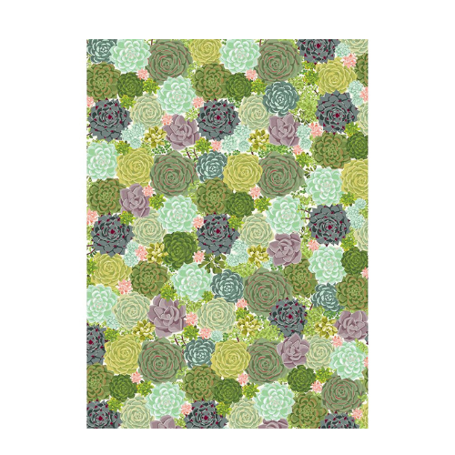Succulent Wrapping Sheet, Jollity & Co