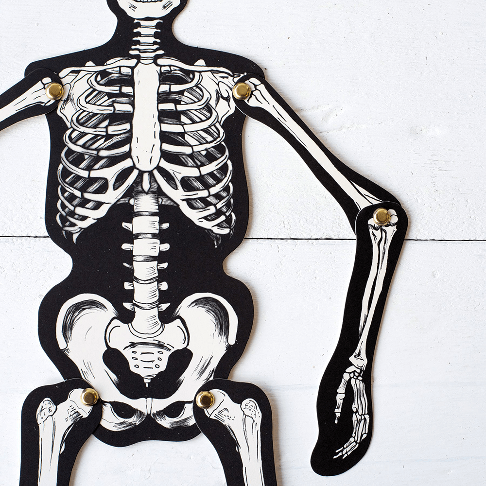 Articulated Skeleton Decorative Accent, Shop Sweet Lulu