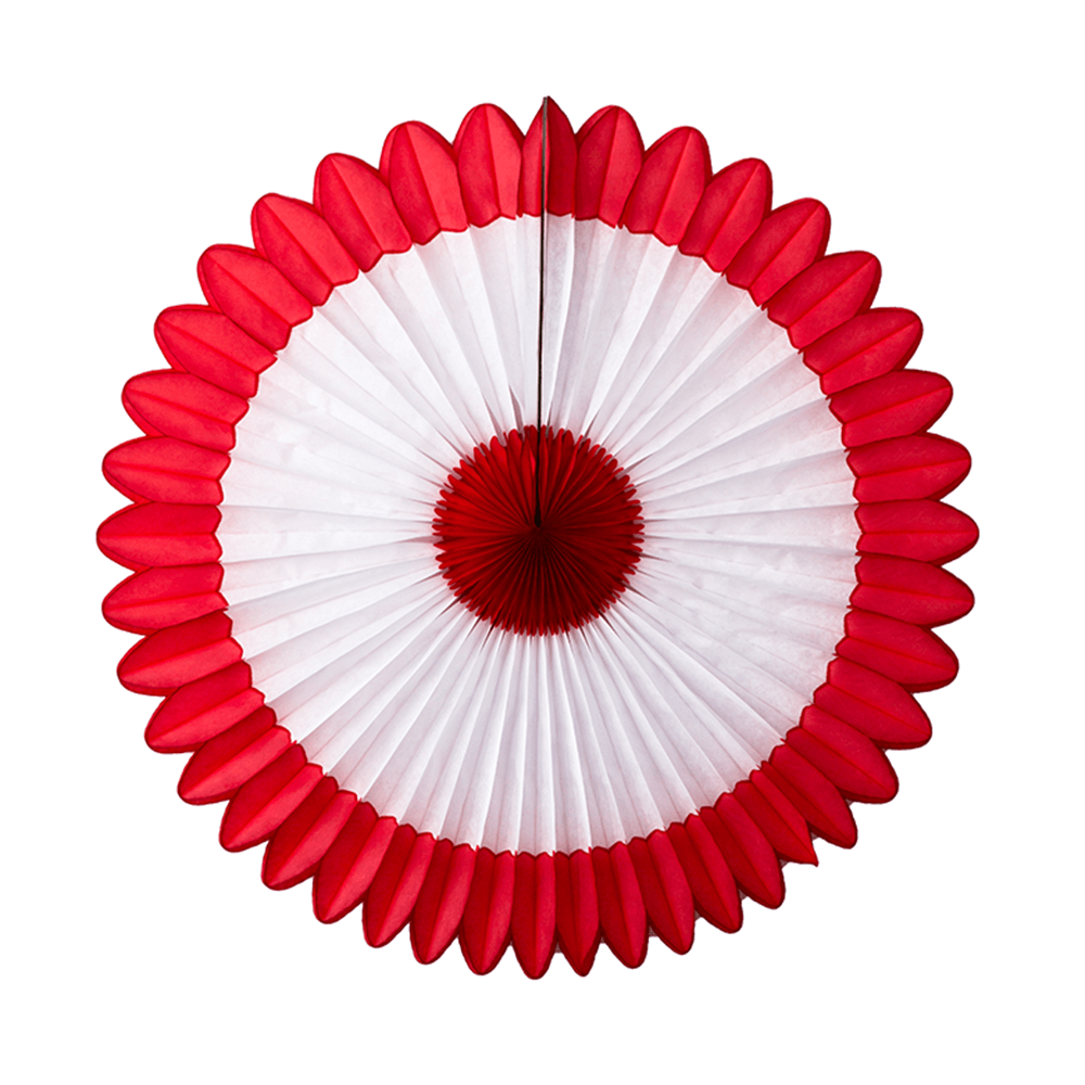 Deluxe Party Fan, 27