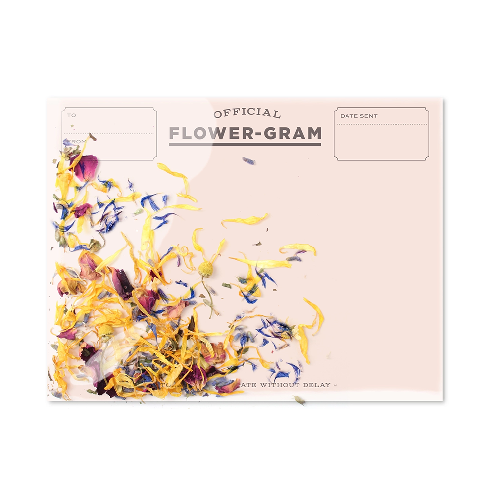 Flower-Gram - Wildflowers + Mint, Shop Sweet Lulu