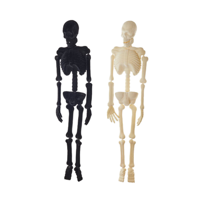 Giant Flocked Skeleton, Neutral - 2 Color Options