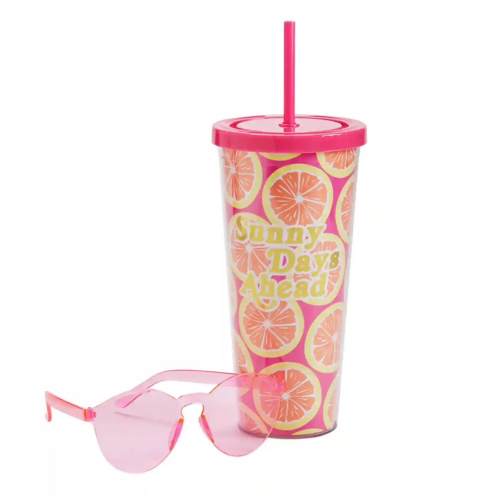 Sippin' Pretty Neutral Smiley and Daisy Checkered 40oz Drink Tumbler With  Lid And Straw in 2023