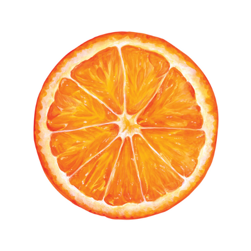 Die-Cut Orange Placemats – Jollity & Co
